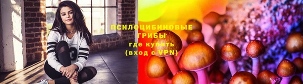индика Осташков