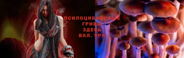скорость Нягань