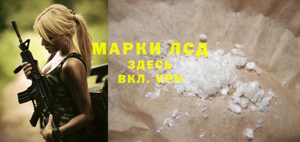 индика Осташков