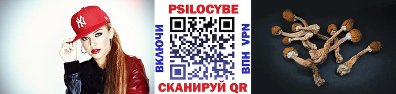 дарк нет формула  Порхов  Псилоцибиновые грибы Magic Shrooms 